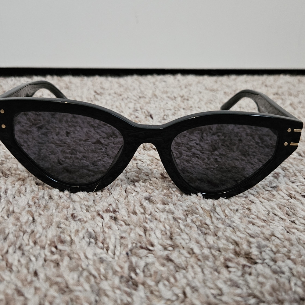 Dior Signature B2U Sunglasses